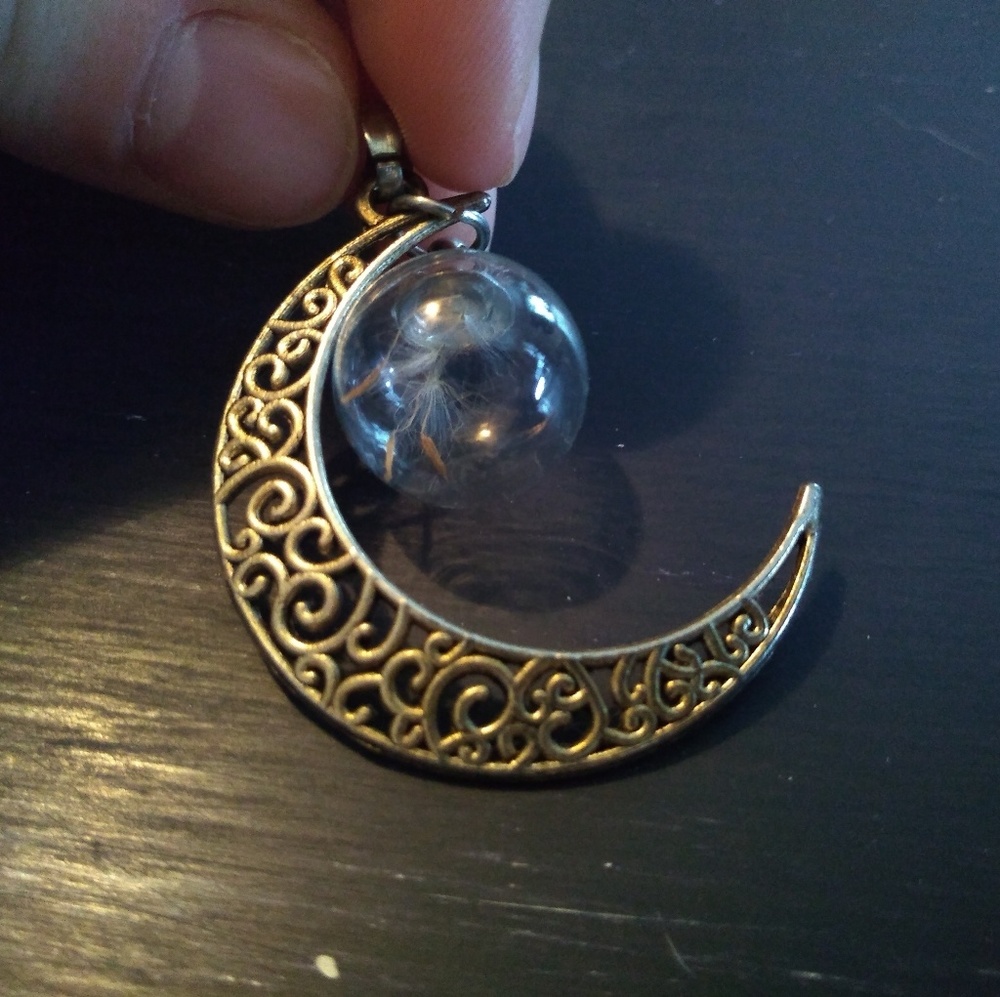 Dandelion seeds and moon necklace